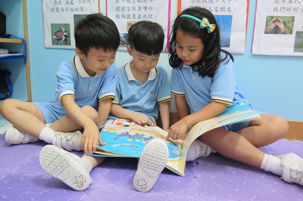 香港小学入学申请流程（香港小学分类）