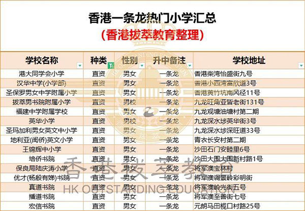 港大同学会小学24/25学年插班开放申请 别错过