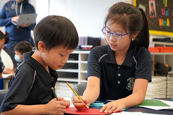 香港小学插班生申请流程