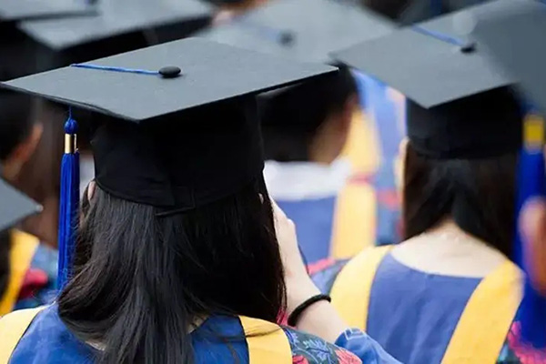dse成绩可以申请国内大学吗