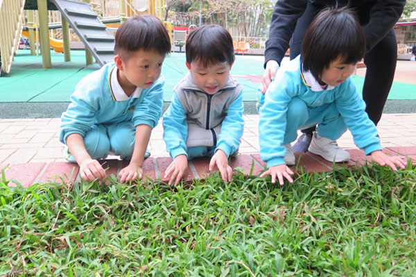 轩尼诗道官立小学湾仔（轩尼诗道官立小学怎么样）